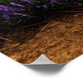 ラベンダーフ素朴ィールドが並ぶ通路サンセット ポスター (角)