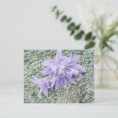 ラベンダーホスタの花フル開花 ポストカード (スタンド正面)