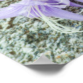 ラベンダーホスタフラワーフル開花 ポスター (角)