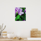 ラベンダーポスターII ポスター (キッチン)