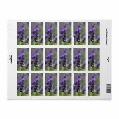 ラベンダーポートレート ラベル (フルシート)