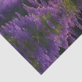 ラベンダーマウンテンバレーアットデイブレイク 薄葉紙 (詳細)