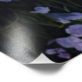 ラベンダーマウンテンバレーアットドーン フォトプリント            (角)