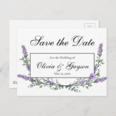 ラベンダーユーカリ水彩植物学 ポストカード (正面/裏面)