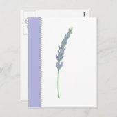 ラベンダーリグ葉書 ポストカード (正面/裏面)