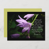 ラベンダーレディーベル ポストカード (正面/裏面)