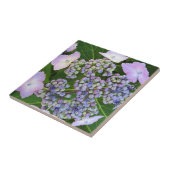 ラベンダーレースキャップアジサイ開花タイル タイル (側面)