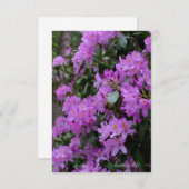 ラベンダーロードデンドロン ノートカード (正面/裏面)