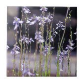 ラベンダーワイルドフラワー タイル (正面)