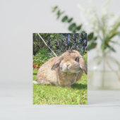 ラベンダー付きの茶色い先端の耳ウサギ ポストカード (スタンド正面)