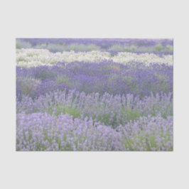 ラベンダー分野のティッシュペーパー 薄葉紙