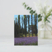 ラベンダー分野の聖書の詩の勇気付けられるカード カード (スタンド正面)