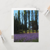 ラベンダー分野の聖書の詩の勇気付けられるカード カード (正面/裏面インサイチュ)