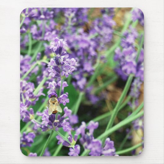 ラベンダー及び蜜蜂のマウスパッド マウスパッド (正面)