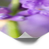 ラベンダー名 ポスター (角)