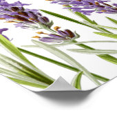 ラベンダー座席表 ポスター (角)