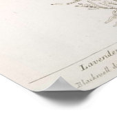 ラベンダー植物性プリントポスター ポスター (角)