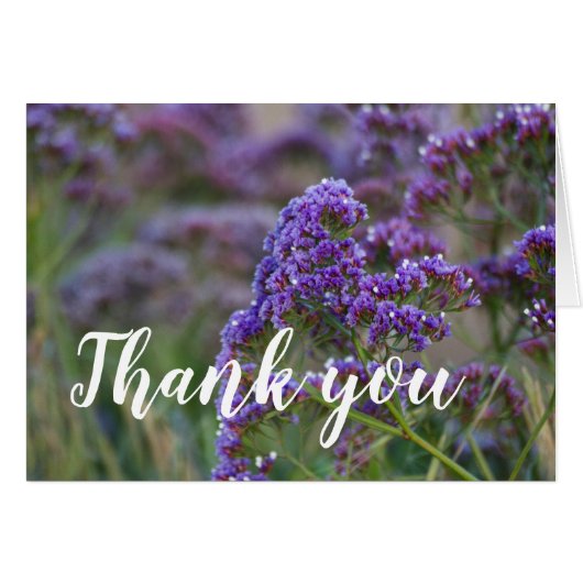 ラベンダー海ありがとう (正面横)