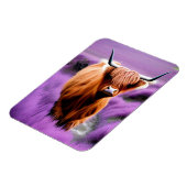 ラベンダー畑のかわいいハイランド牛 マグネット (左側)