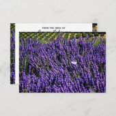 ラベンダー畑のパーソナライズされたブランクノートカード 招待状 (正面/裏面)