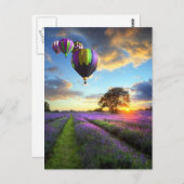 ラベンダー畑の上の日の出と熱い気球 ポストカード (正面/裏面)