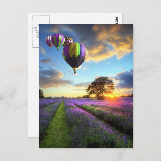 ラベンダー畑の上の日の出と熱い気球 ポストカード (正面/裏面)