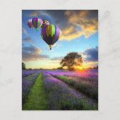 ラベンダー畑の上の日の出と熱い気球 ポストカード (正面)