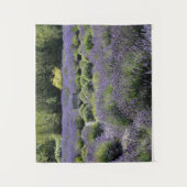 ラベンダー畑の真ん中にあるベンチ タペストリー (正面)