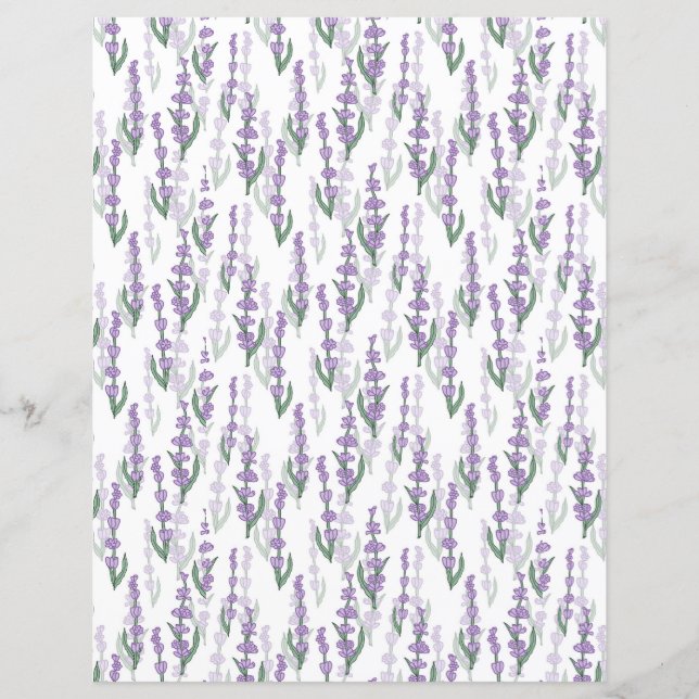 ラベンダー畑は紫色の花を提供する (正面)