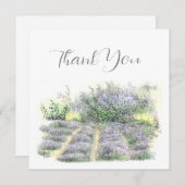 ラベンダー畑 サンキューカード (正面/裏面)