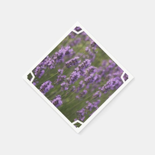 ラベンダー畑 スタンダードカクテルナプキン (角)