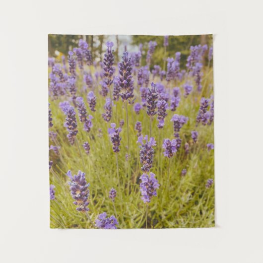 ラベンダー畑 タペストリー (正面)