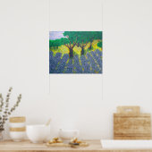 ラベンダー畑 ポスター (キッチン)