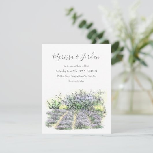 ラベンダー畑 招待状 (スタンド正面)