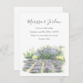 ラベンダー畑 招待状 (正面/裏面)