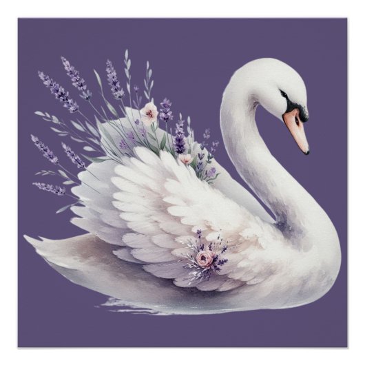 ラベンダー花と水彩の白鳥 ポスター (正面)
