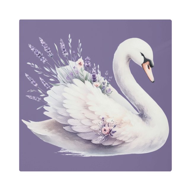ラベンダー花模様付き水彩白鳥 メタルプリント (正面)