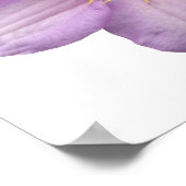 ラベンダー花 ポスター (角)