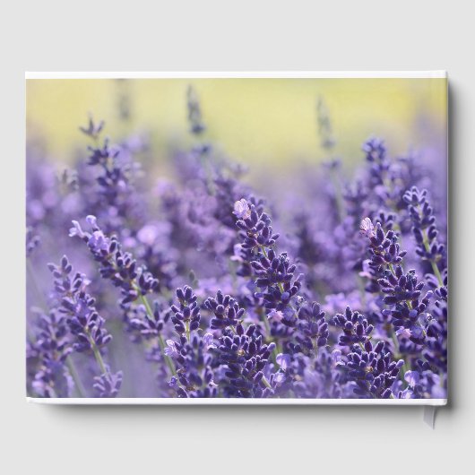 ラベンダー葬儀ゲストブック | 愛情に満ちた思い出で ゲストブック (裏面)