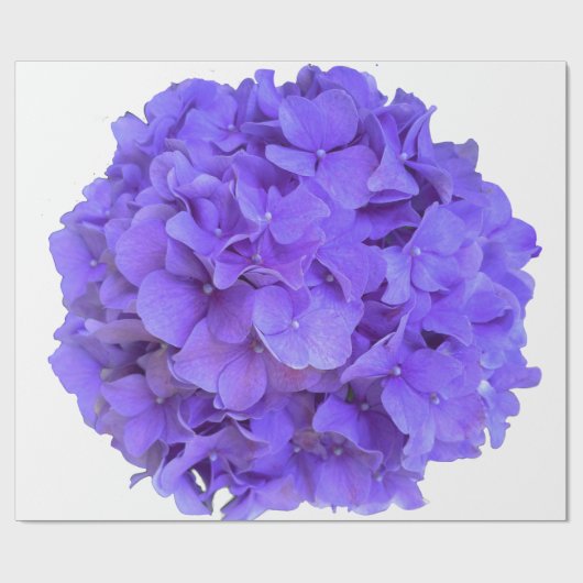 ラベンダー薄紫紫色アジサイ紫色の花 ラッピングペーパー (フラット)