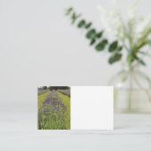 ラベンダー農園のビジネスカード Seafoam Lavender Farm 名刺 (スタンド正面)