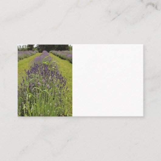 ラベンダー農園のビジネスカード Seafoam Lavender Farm 名刺 (正面)