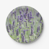 ラベンダー開花フローラ ペーパープレート (正面)