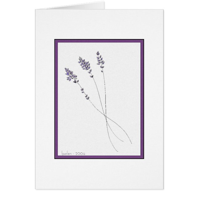 ラベンダー (正面)