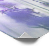 ラベンダー2 ポスター (角)