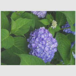 ラベンダー アジサイ 薄葉紙