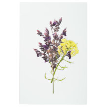 ラベンダー&イエローワイルドフラワーボタニカルデザイン