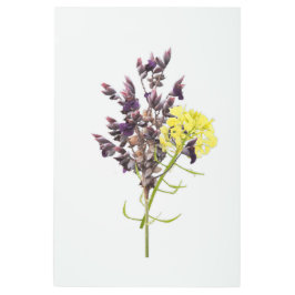 ラベンダー&イエローワイルドフラワーボタニカルデザイン メタルプリント