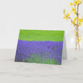 ラベンダー カード (黄色い花)