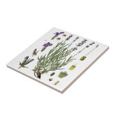 ラベンダー タイル (側面)